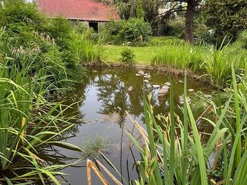 CASA QUINTA DE CATEGORIA 