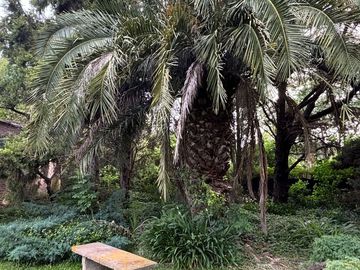 CASA QUINTA DE CATEGORIA 