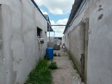 Alquiler de Campo de 11 hectáreas en El Casal