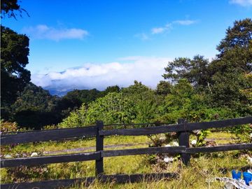 VENDO FINCA- RESPINGO CHIRIQUI
