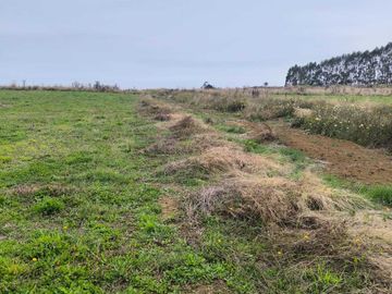 Parcela en venta  en LLANQUIHUE