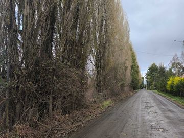 Parcela en venta  en OSORNO