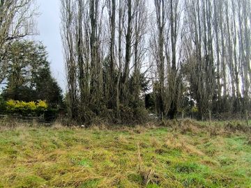 Parcela en venta  en OSORNO