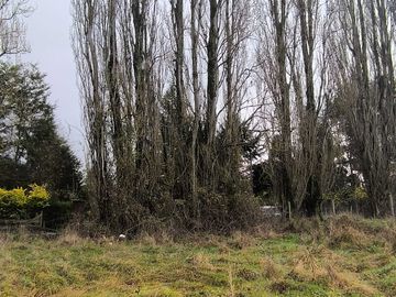 Parcela en venta  en OSORNO