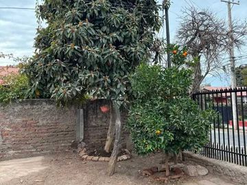 Casa en arriendo  en PUENTE ALTO