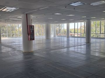 OFICINAS 930 m2 PLANTA LIBRE en OLIVO, 18 cocheras