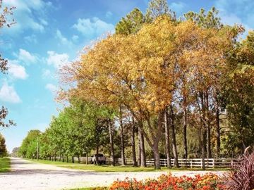 TERRENO EN VENTA FINCAS DE SAN VICENTE FONDO GOLF