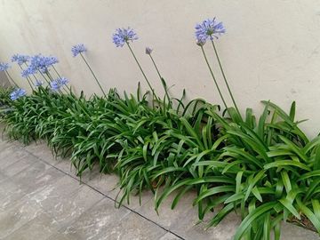 CASA EN VENTA , 4 AMBIENTES I LUJAN I APTO CREDITO