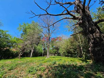 Casa quinta 3 amb Venta La Reja lote 1800m2 pileta