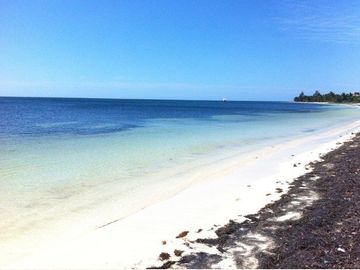 🌊 Terreno en venta frente al Caribe en Mahahual