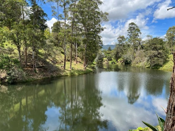 Se Arrienda Finca En Llano Grande, Antioquia