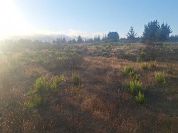 Casa en venta  en PICHILEMU