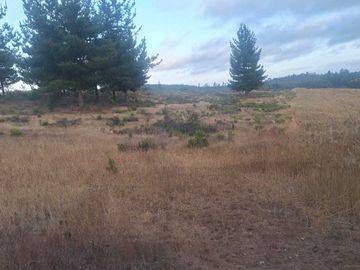 Casa en venta  en PICHILEMU
