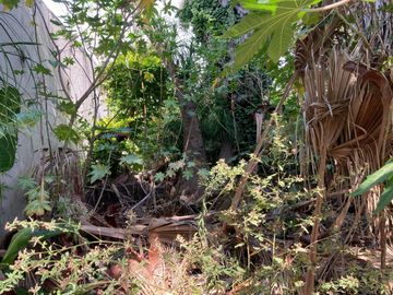 VENTA LOTE 300 m² EN SAN ISIDRO CHICO