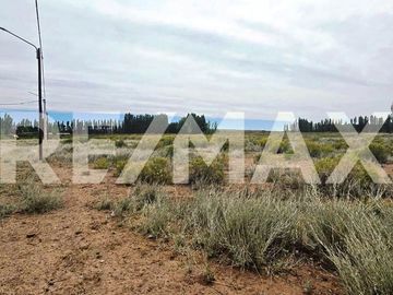 VENTA LOTE DE 2.500 M2 EN SENILLOSA