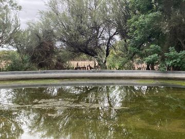 Campo en venta - Cuadro Nacional -San Rafael