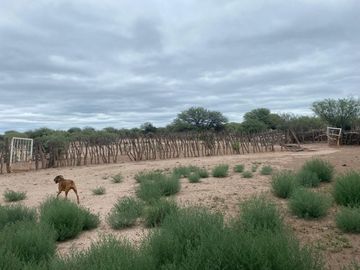 Campo en venta - Cuadro Nacional -San Rafael