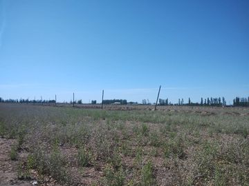 CALLE LOS PINOS GRAN INVERSIÓN!
