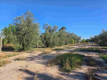 VENTA LOTE / TERRENO -COQUIMBITO - BODEGAS-TURISMO