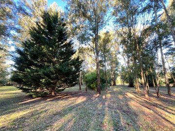 VENTA COMPLEJO DE CABAÑAS + 2 HECTAREAS