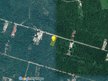 Venta Terreno Residencial Ceiba II sobre Av Principal Cedro