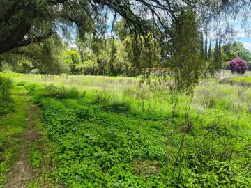 Terreno habitacional en venta en Tepetlaoxtoc de Hidalgo, Tepetlaoxtoc, México