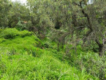 Terreno habitacional en venta en Tepetlaoxtoc de Hidalgo, Tepetlaoxtoc, México