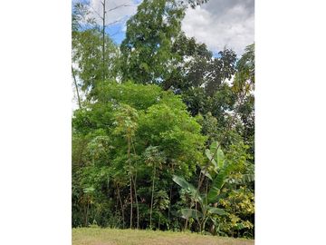 GIA 214 FINCA EN VENTA LA MESA CUNDINAMARCA