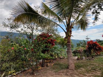 GIA 214 FINCA EN VENTA LA MESA CUNDINAMARCA
