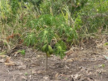 GIA 214 FINCA EN VENTA LA MESA CUNDINAMARCA