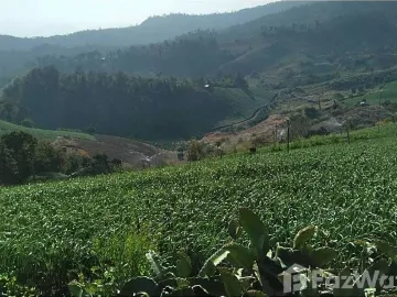 Land for sale in Wiang Tai, Mae Hong Son