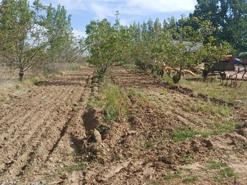 VENTA FINCA VALLE DE UCO SAN CARLOS MENDOZA