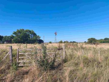 CAMPO GANADERO EN VENTA