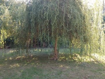 VENTA CASA Y CABAÑA DELTA TIGRE - RIO SARMIENTO