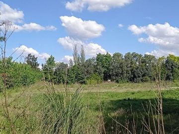 VENTA TERRENO 2.5 HAS  ZONA INDUSTRIAL. MORENO