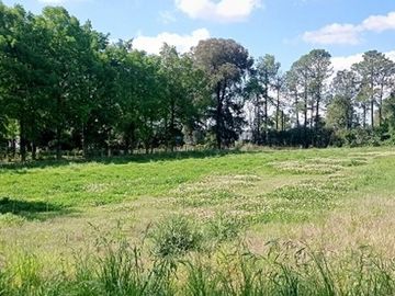 VENTA TERRENO 2.5 HAS  ZONA INDUSTRIAL. MORENO
