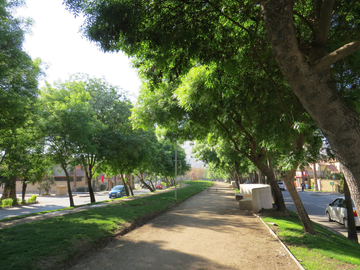 ARRIENDO PIEZA AMOBLADA EN VALLE LO CAMPINO, QUILICURA