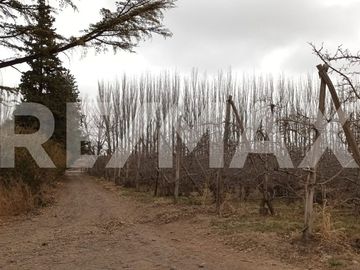 VENTA DE HECTAREAS - FRENTE RUTA 7 - VISTA ALEGRE