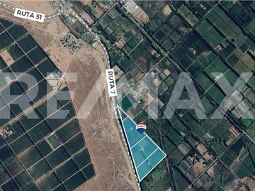VENTA DE HECTAREAS - FRENTE RUTA 7 - VISTA ALEGRE