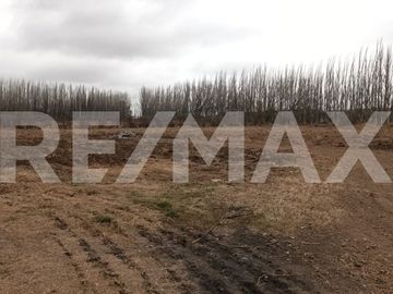 VENTA DE HECTAREAS - FRENTE RUTA 7 - VISTA ALEGRE