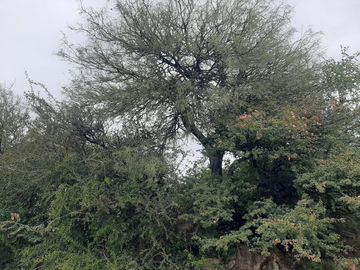 VENTA DE TERRENO AGUADITA DEL PORTEZUELO ETAPA 1