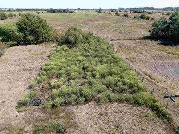 CAMPO EN VENTA CAPILLA DEL SEÑOR  12,89 HECTARÉAS