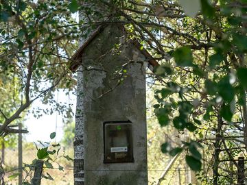CAMPO EN VENTA CAPILLA DEL SEÑOR  12,89 HECTARÉAS