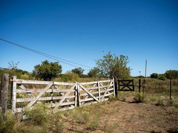 CAMPO EN VENTA CAPILLA DEL SEÑOR  12,89 HECTARÉAS