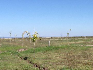 Lote Maipu  100 % FINANCIADO 