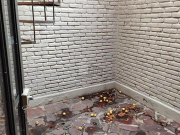Casa en Venta / Renta en Privada Huerta Real