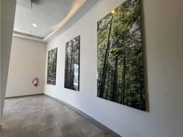 Departamento en renta, Zona Tec, Eugenio Garza Sada, Monterrey N.L.