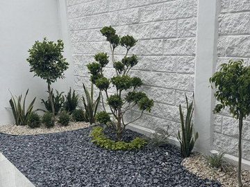 Casa en Venta en San Mateo Atenco