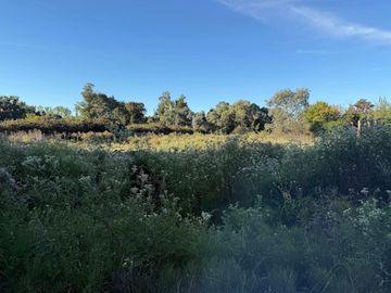 VENTA DE LOTE PARADA DE ROBLES
