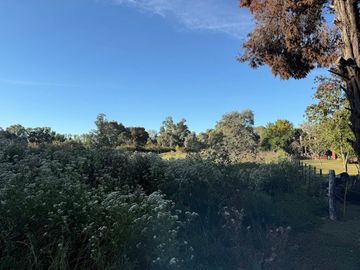 VENTA DE LOTE PARADA DE ROBLES